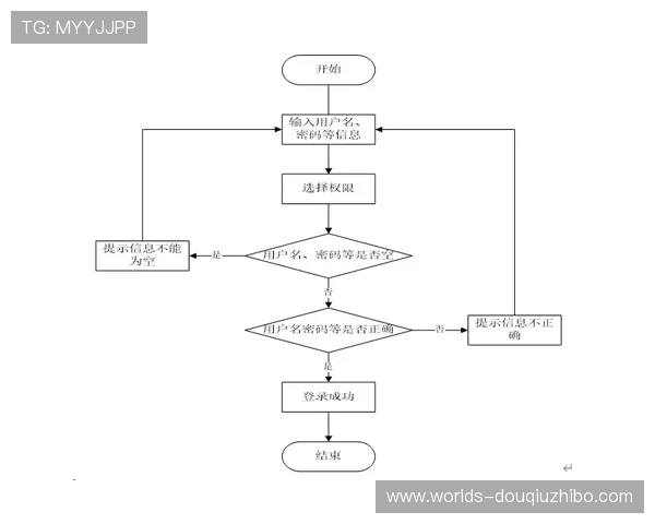 斗球直播在电脑端的安装流程详解，确保顺利运行无障碍